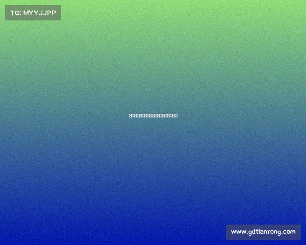 法甲历史最佳战绩解析与最强球队荣誉之争